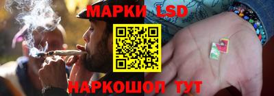 индика Можайск