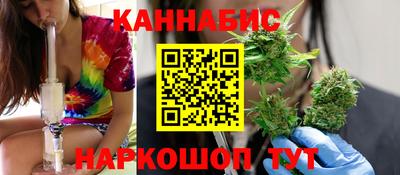 индика Можайск
